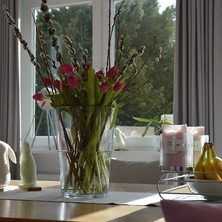 Apartman Stadtwohnung-ueber-den-daechern-von-wyk *